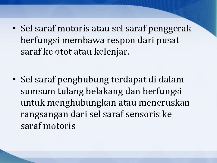  • Sel saraf motoris atau sel saraf penggerak berfungsi membawa respon dari pusat