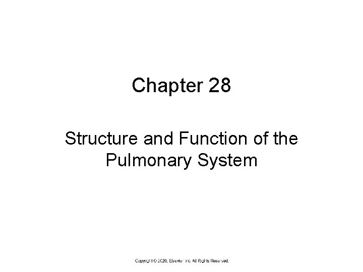 Chapter 28 Structure and Function of the Pulmonary System 