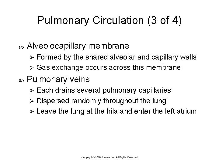 Pulmonary Circulation (3 of 4) Alveolocapillary membrane Formed by the shared alveolar and capillary