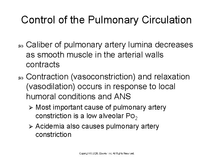 Control of the Pulmonary Circulation Caliber of pulmonary artery lumina decreases as smooth muscle