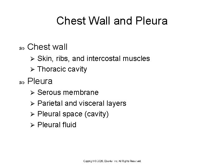 Chest Wall and Pleura Chest wall Skin, ribs, and intercostal muscles Ø Thoracic cavity