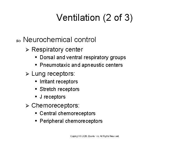 Ventilation (2 of 3) Neurochemical control Respiratory center • Dorsal and ventral respiratory groups
