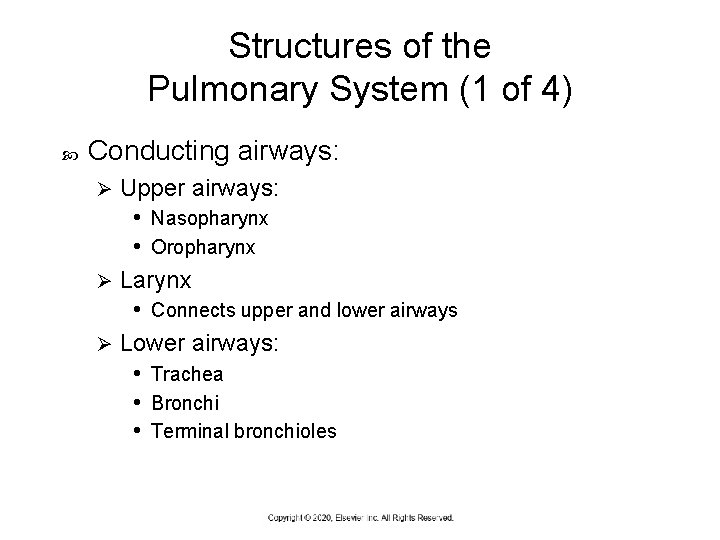 Structures of the Pulmonary System (1 of 4) Conducting airways: Upper airways: • Nasopharynx