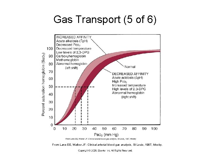 Gas Transport (5 of 6) From Lane EE, Walker JF: Clinical arterial blood gas