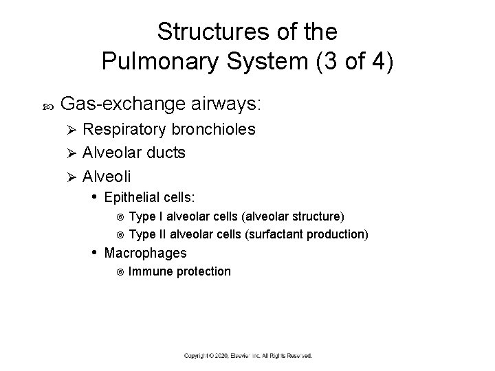 Structures of the Pulmonary System (3 of 4) Gas-exchange airways: Respiratory bronchioles Ø Alveolar