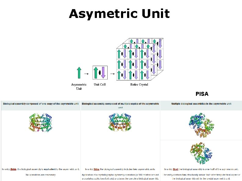 Asymetric Unit PISA 