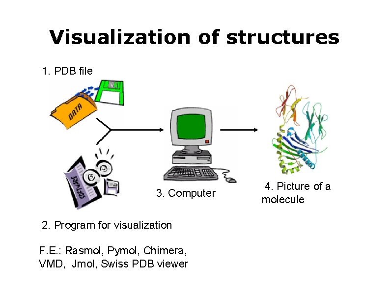 Visualization of structures 1. PDB file 3. Computer 2. Program for visualization F. E.
