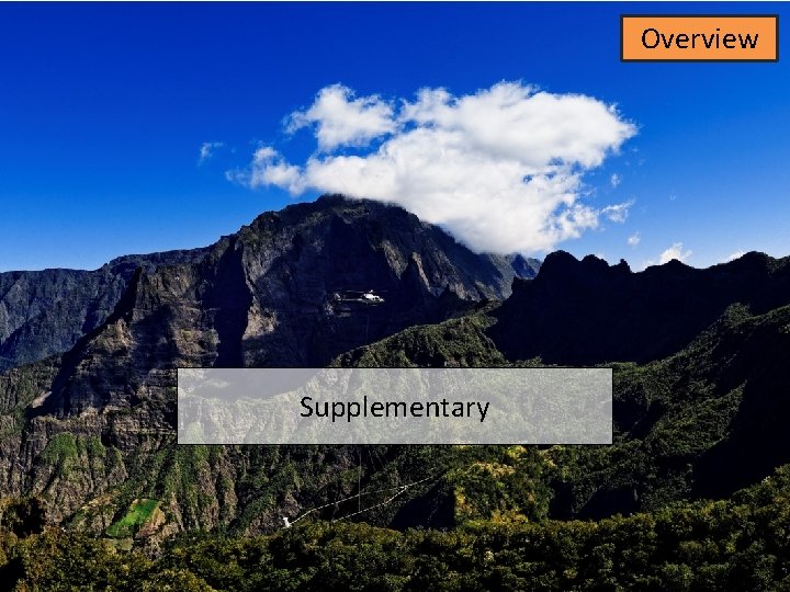 Overview Supplementary Overview Supplementary