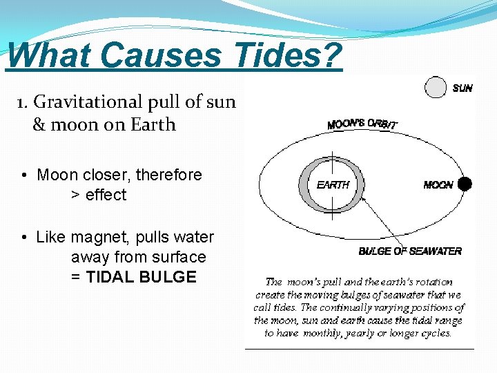 What Causes Tides? 1. Gravitational pull of sun & moon on Earth • Moon