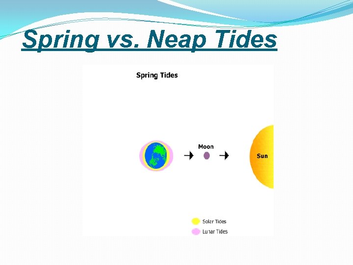 Spring vs. Neap Tides 