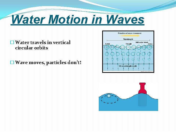 Water Motion in Waves � Water travels in vertical circular orbits � Wave moves,
