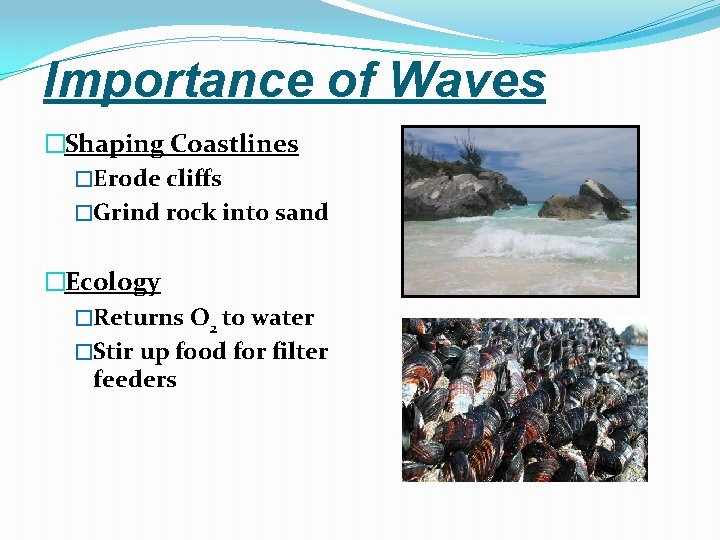 Importance of Waves �Shaping Coastlines �Erode cliffs �Grind rock into sand �Ecology �Returns O