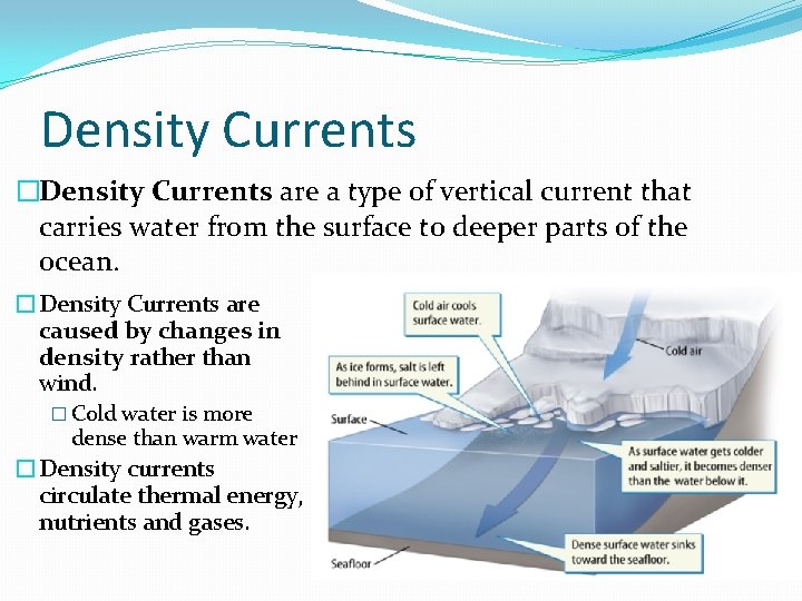 Density Currents �Density Currents are a type of vertical current that carries water from