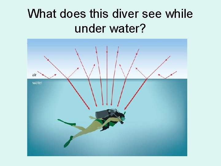 What does this diver see while under water? 