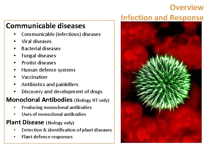 Communicable diseases • • • Communicable (infectious) diseases Viral diseases Bacterial diseases Fungal diseases