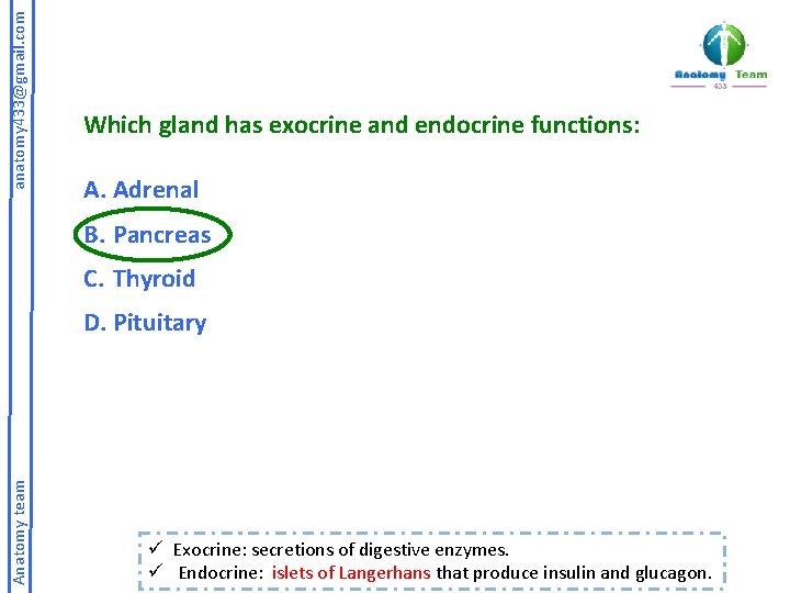 anatomy 433@gmail. com Which gland has exocrine and endocrine functions: A. Adrenal B. Pancreas