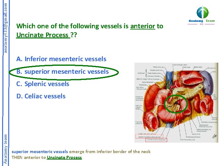 anatomy 433@gmail. com Which one of the following vessels is anterior to Uncinate Process