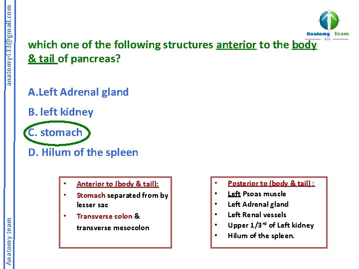 anatomy 433@gmail. com which one of the following structures anterior to the body &
