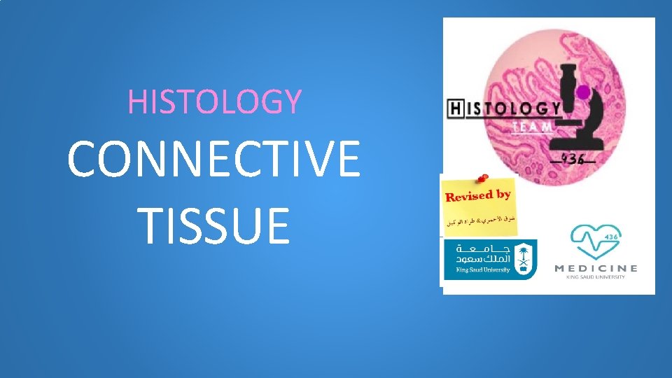 HISTOLOGY CONNECTIVE TISSUE 