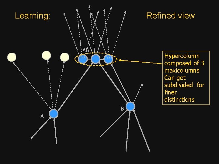 Learning: Refined view AB Hypercolumn composed of 3 maxicolumns Can get subdivided for finer