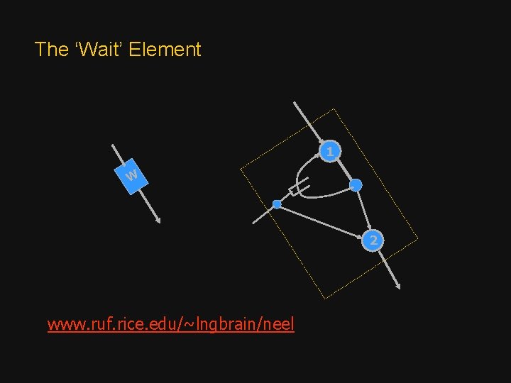 The ‘Wait’ Element 1 W 2 www. ruf. rice. edu/~lngbrain/neel 