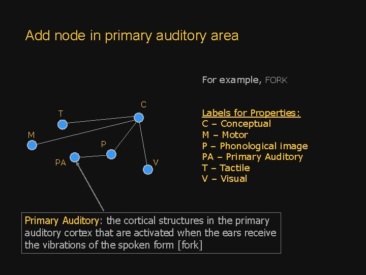 Add node in primary auditory area For example, FORK C T M P PA