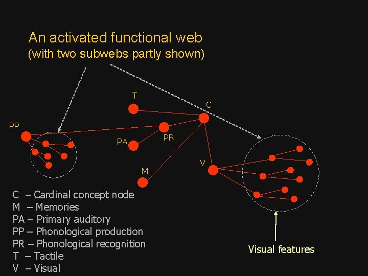 An activated functional web (with two subwebs partly shown) T C PP PR PA