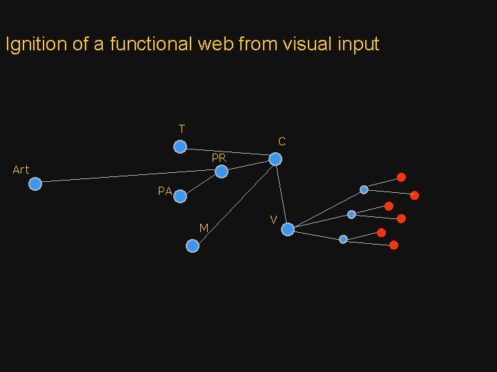 Ignition of a functional web from visual input T C PR Art PA M