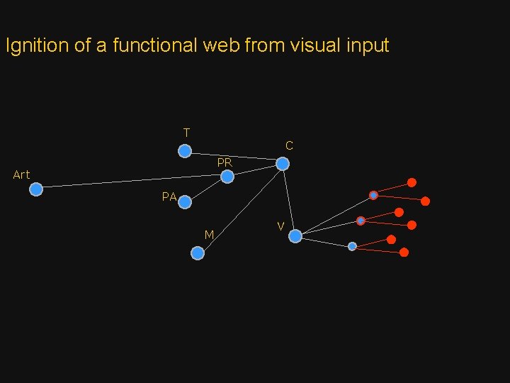 Ignition of a functional web from visual input T C PR Art PA M