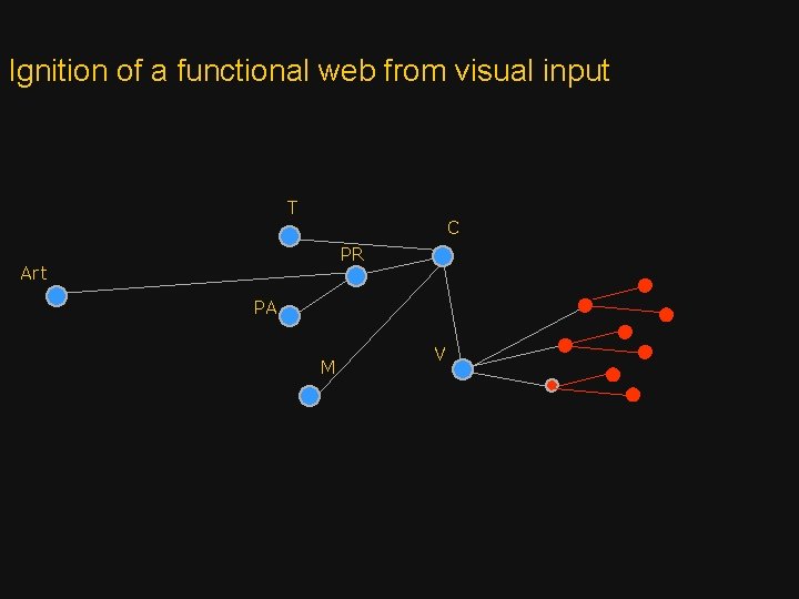 Ignition of a functional web from visual input T C PR Art PA M