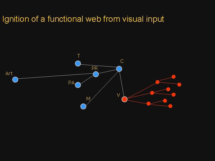 Ignition of a functional web from visual input T C PR Art PA M