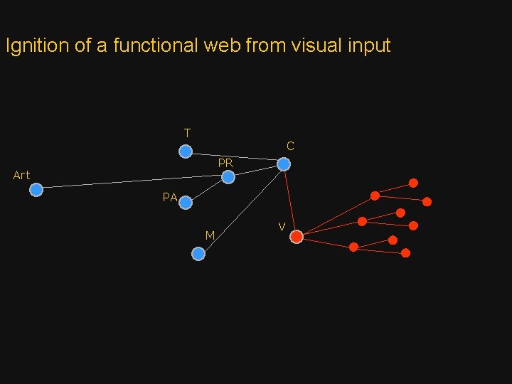 Ignition of a functional web from visual input T C PR Art PA M