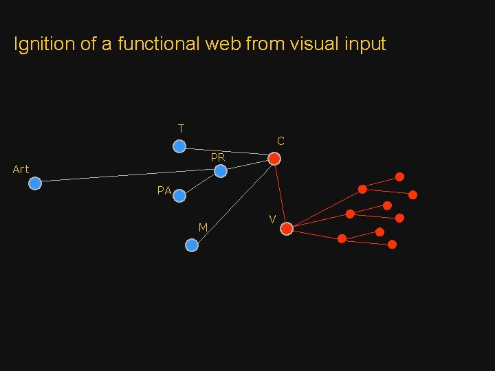 Ignition of a functional web from visual input T C PR Art PA M