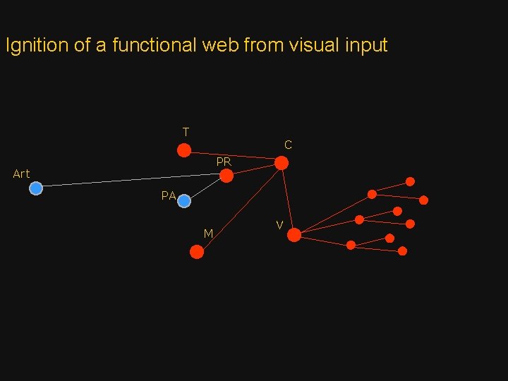 Ignition of a functional web from visual input T C PR Art PA M