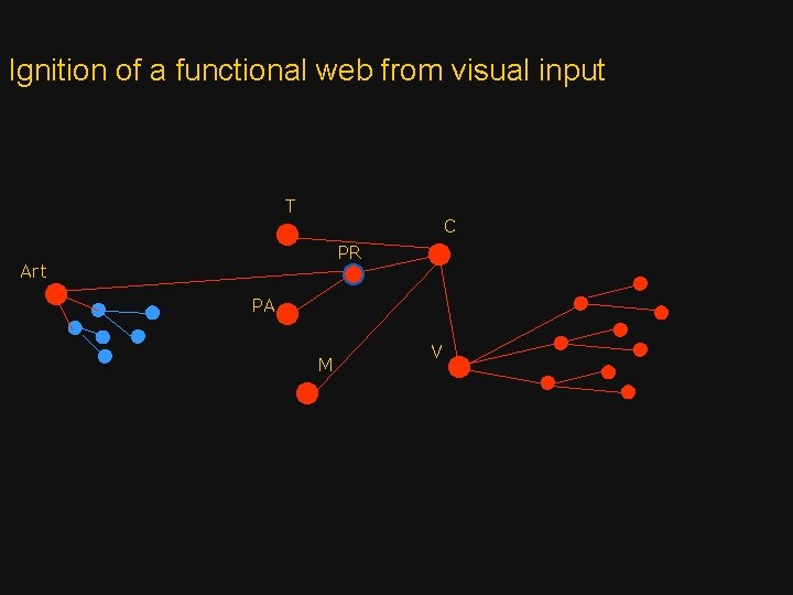 Ignition of a functional web from visual input T C PR Art PA M