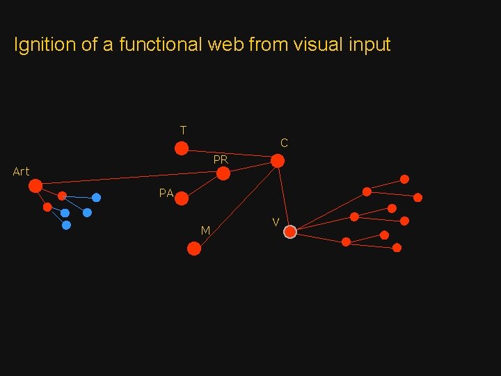 Ignition of a functional web from visual input T C PR Art PA M