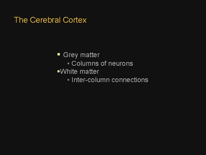 The Cerebral Cortex § Grey matter • Columns of neurons §White matter • Inter-column The Cerebral Cortex § Grey matter • Columns of neurons §White matter • Inter-column