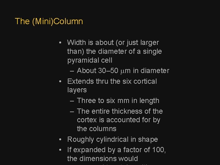 The (Mini)Column • Width is about (or just larger than) the diameter of a