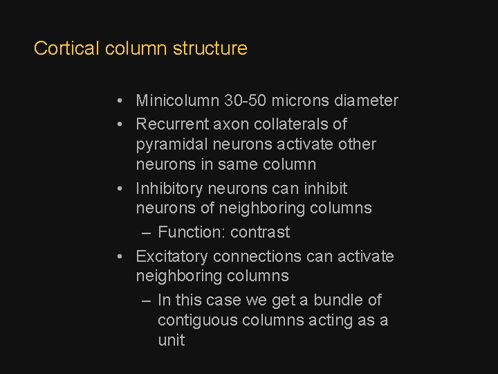 Cortical column structure • Minicolumn 30 -50 microns diameter • Recurrent axon collaterals of