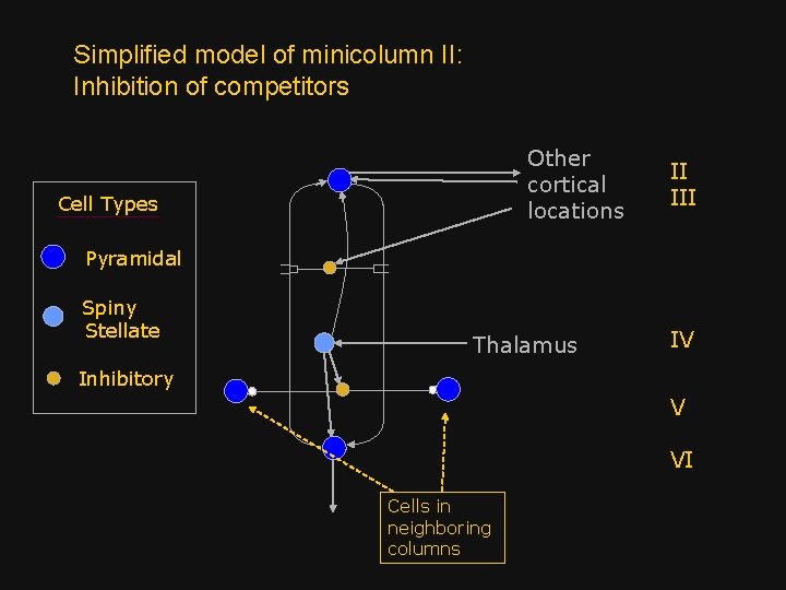 Simplified model of minicolumn II: Inhibition of competitors Other cortical locations Cell Types II