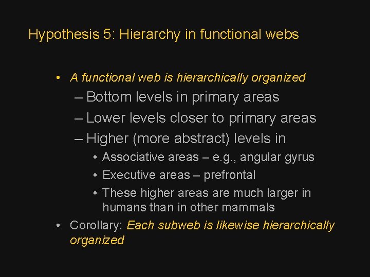 Hypothesis 5: Hierarchy in functional webs • A functional web is hierarchically organized –