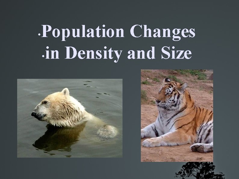  • Population Changes • in Density and Size 