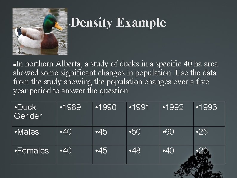  • Density Example In northern Alberta, a study of ducks in a specific