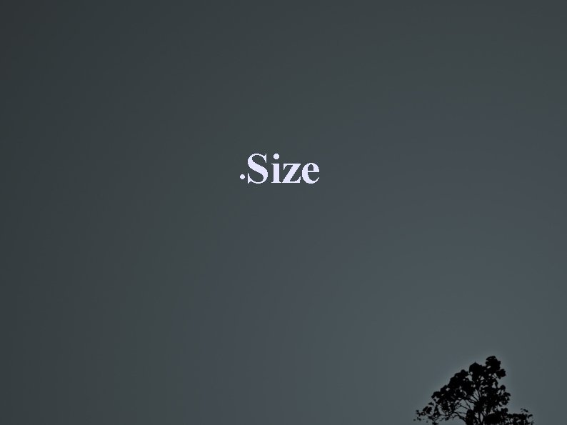  • Size 
