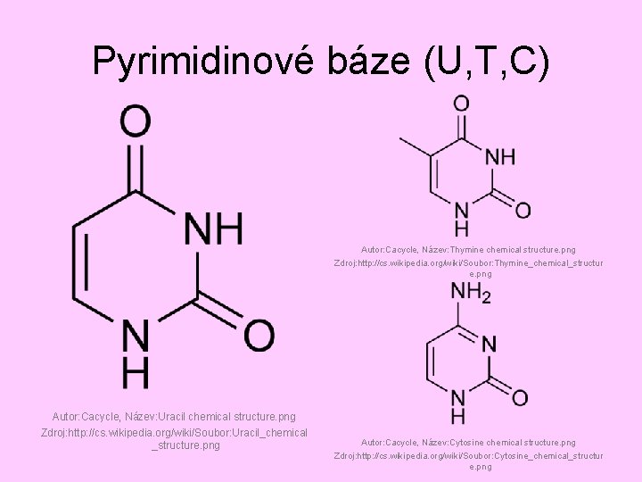 Pyrimidinové báze (U, T, C) Autor: Cacycle, Název: Thymine chemical structure. png Zdroj: http: