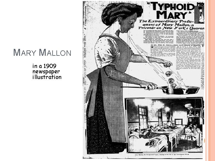 MARY MALLON in a 1909 newspaper illustration 