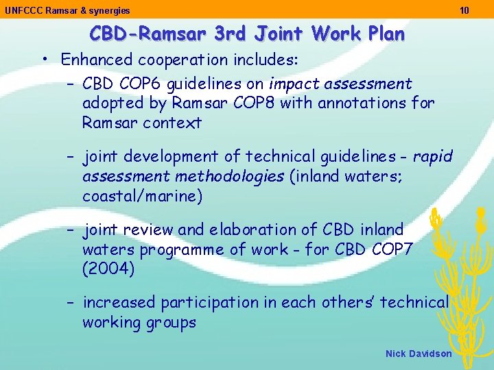 UNFCCC Ramsar & synergies 10 CBD-Ramsar 3 rd Joint Work Plan • Enhanced cooperation
