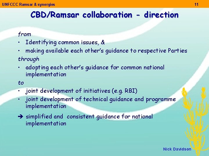 UNFCCC Ramsar & synergies 11 CBD/Ramsar collaboration - direction from • Identifying common issues,