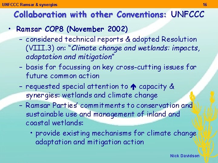 UNFCCC Ramsar & synergies 16 Collaboration with other Conventions: UNFCCC • Ramsar COP 8