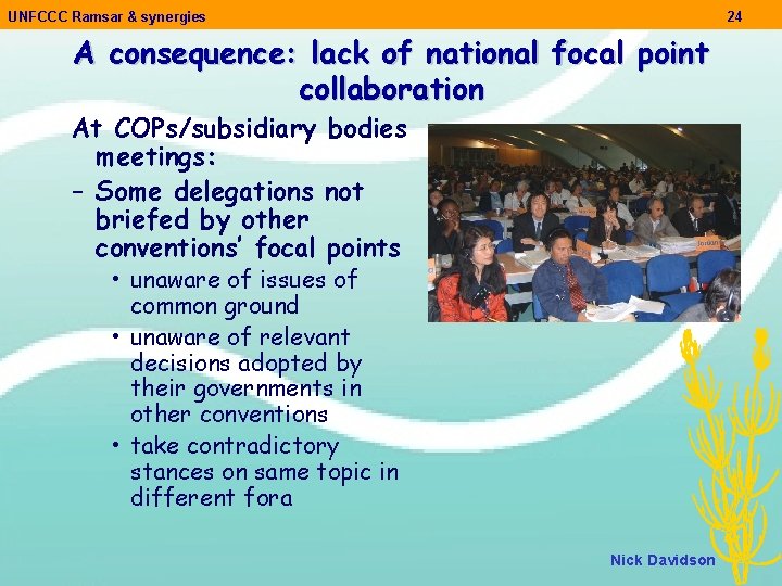 UNFCCC Ramsar & synergies 24 A consequence: lack of national focal point collaboration At